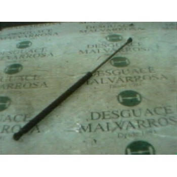 AMORTIGUADORES MALETERO / PORTON 