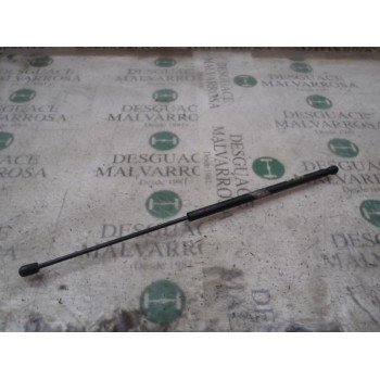 AMORTIGUADORES MALETERO / PORTON 