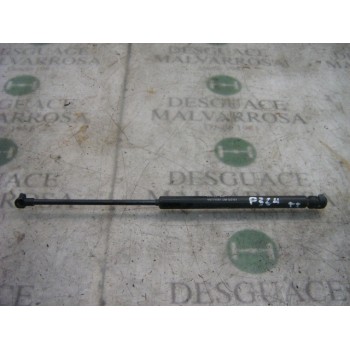 AMORTIGUADORES MALETERO / PORTON 