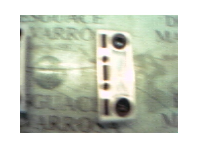 Recambio de piloto interior para bmw serie 5 berlina (e60) 530d referencia OEM IAM 63316962058  