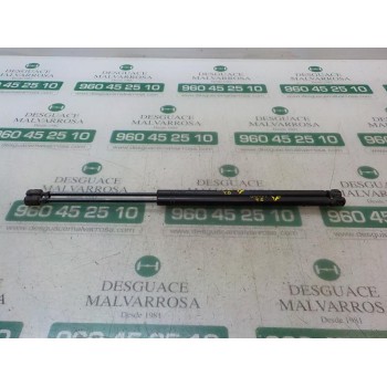 AMORTIGUADORES MALETERO / PORTON 