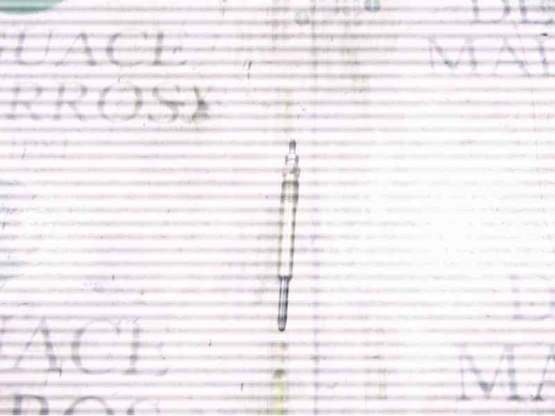 Recambio de calentador para citroën xsara berlina 2.0 hdi cat (rhy / dw10td) referencia OEM IAM   