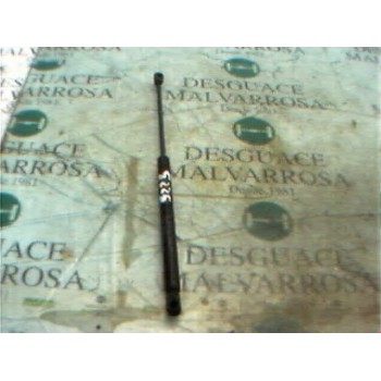 AMORTIGUADORES MALETERO / PORTON 