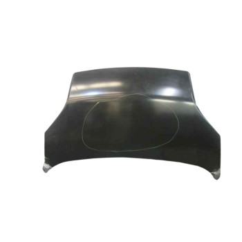 CAPOT DELANTERO AGUAS EN ZONA MARCADA. 