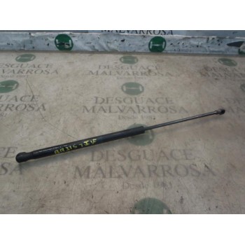 AMORTIGUADORES MALETERO / PORTON 