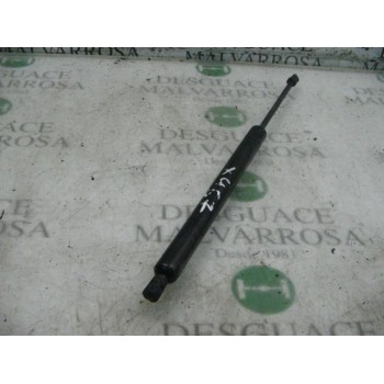 AMORTIGUADORES MALETERO / PORTON 