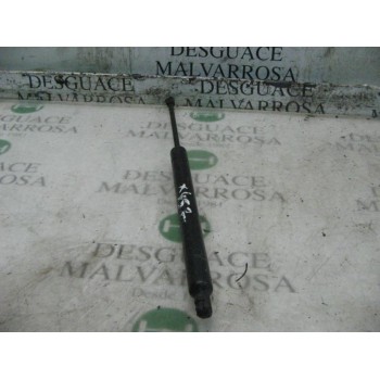 AMORTIGUADORES MALETERO / PORTON 