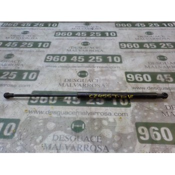 AMORTIGUADORES MALETERO / PORTON 51778432 