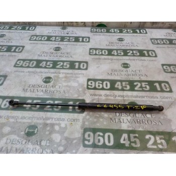 AMORTIGUADORES MALETERO / PORTON 51778432 