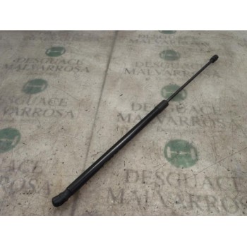 AMORTIGUADORES MALETERO / PORTON 