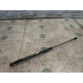 AMORTIGUADORES MALETERO / PORTON 