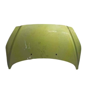 CAPOT DELANTERO 7901P6 