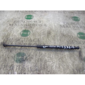 AMORTIGUADORES MALETERO / PORTON 