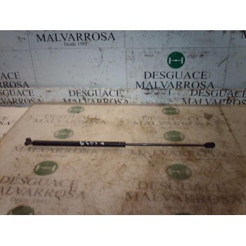 AMORTIGUADORES MALETERO / PORTON 