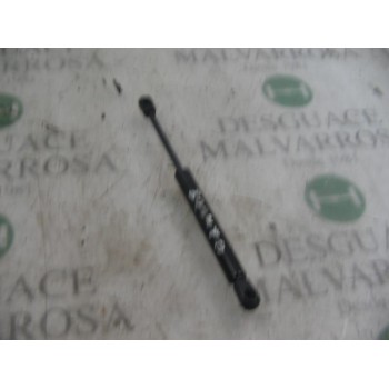 AMORTIGUADORES MALETERO / PORTON 