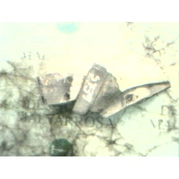 SOPORTE MOTOR TRASERO 