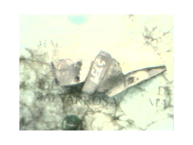 Recambio de soporte motor trasero para kia besta referencia OEM IAM   