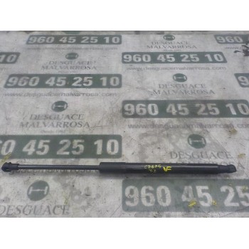 AMORTIGUADORES MALETERO / PORTON 6896002170 