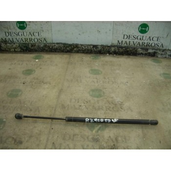 AMORTIGUADORES MALETERO / PORTON 