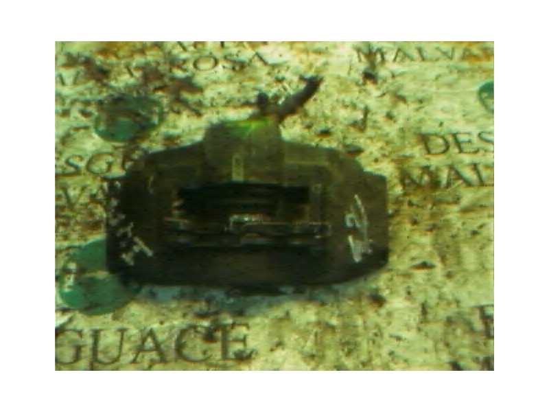 Recambio de pinza freno delantera izquierda para renault twingo (co6) 1.3 cat referencia OEM IAM   