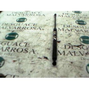 AMORTIGUADORES MALETERO / PORTON 