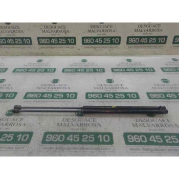 AMORTIGUADORES MALETERO / PORTON 