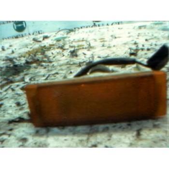 PILOTO DELANTERO IZQUIERDO 