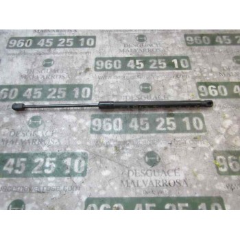 AMORTIGUADORES MALETERO / PORTON 