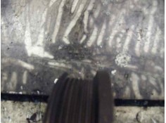 Recambio de polea cigueñal para alfa romeo 145 1.6 16v cat referencia OEM IAM    2