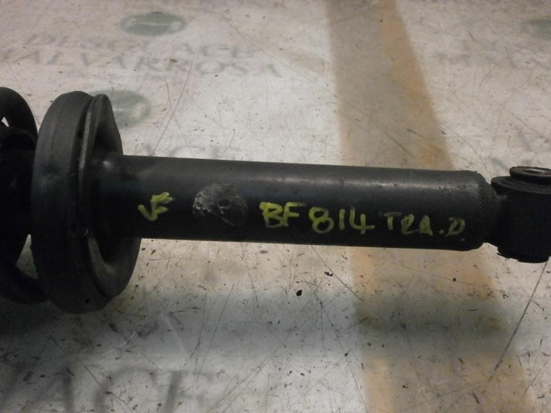 Recambio de amortiguador trasero derecho para nissan primera berlina (p12) visia referencia OEM IAM  56210AV425 