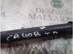 Recambio de amortiguador trasero derecho para renault clio ii fase ii (b/cb0) authentique referencia OEM IAM    2