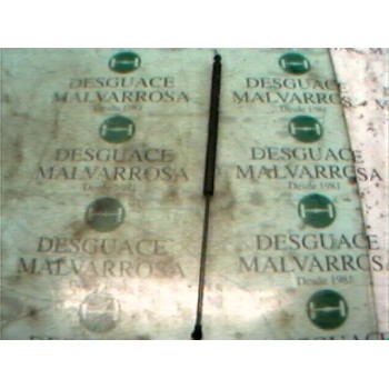 AMORTIGUADORES MALETERO / PORTON 