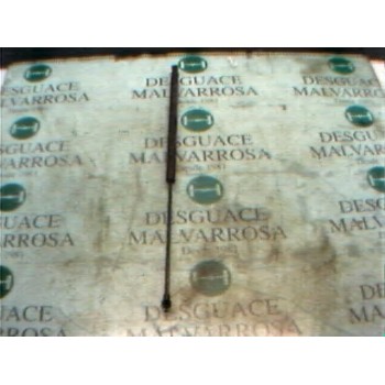 AMORTIGUADORES MALETERO / PORTON 