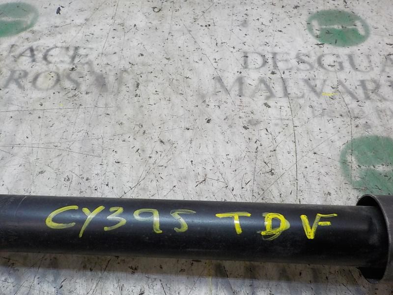 Recambio de amortiguador trasero derecho para toyota yaris 1.4 turbodiesel cat referencia OEM IAM  485300D860 