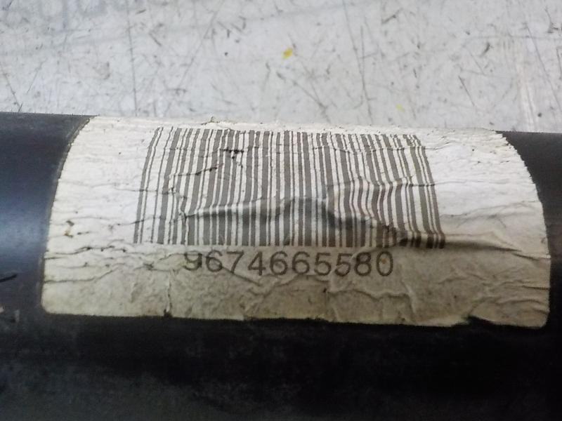 Recambio de amortiguador trasero izquierdo para citroen c-elysée exclusive referencia OEM IAM  9674665580 