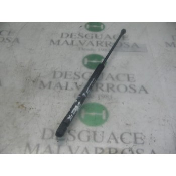 AMORTIGUADORES MALETERO / PORTON 