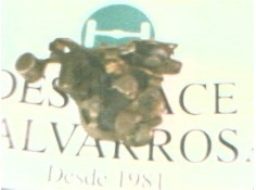 Recambio de cerradura puerta trasera derecha para opel astra f berlina gl referencia OEM IAM    2