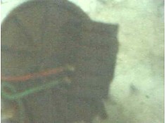 Recambio de motor limpia delantero para audi 80/90 (893) referencia OEM IAM   