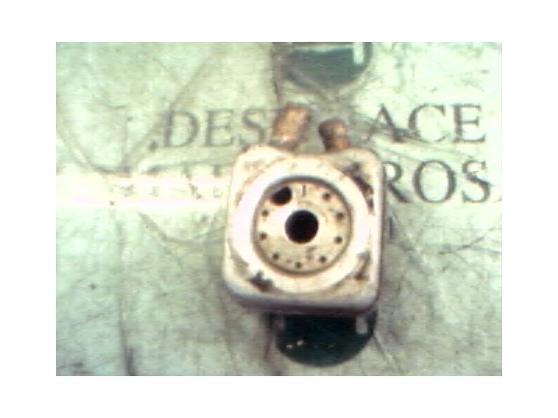 Recambio de enfriador aceite motor para audi 80 avant europa berlina referencia OEM IAM   