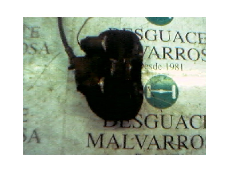 Recambio de pinza freno delantera derecha para renault 5 (b/c40) 1.4 referencia OEM IAM   