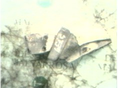 Recambio de soporte motor trasero para kia besta referencia OEM IAM   