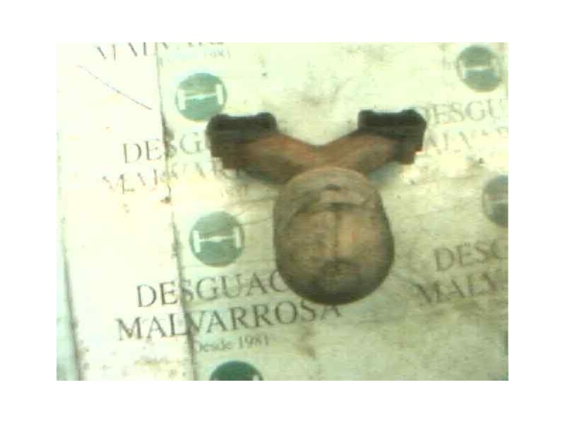 Recambio de colector escape para citroën zx 1.9 diesel referencia OEM IAM   