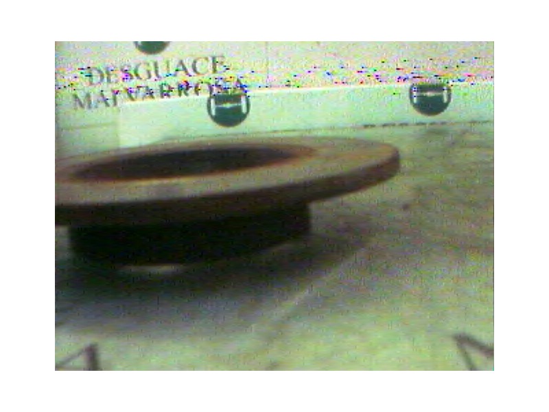 Recambio de disco freno trasero para seat leon (1m1) stella referencia OEM IAM   