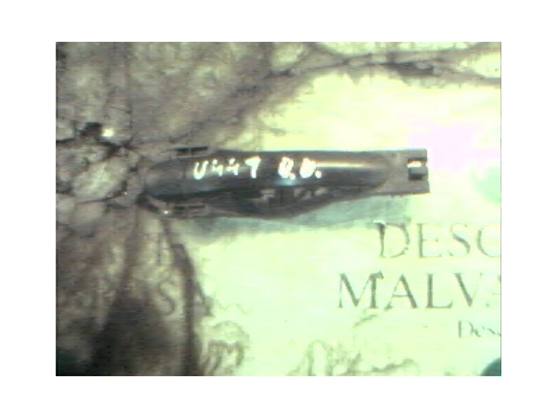 Recambio de maneta exterior delantera derecha para skoda fabia (6y2/6y3) classic referencia OEM IAM   