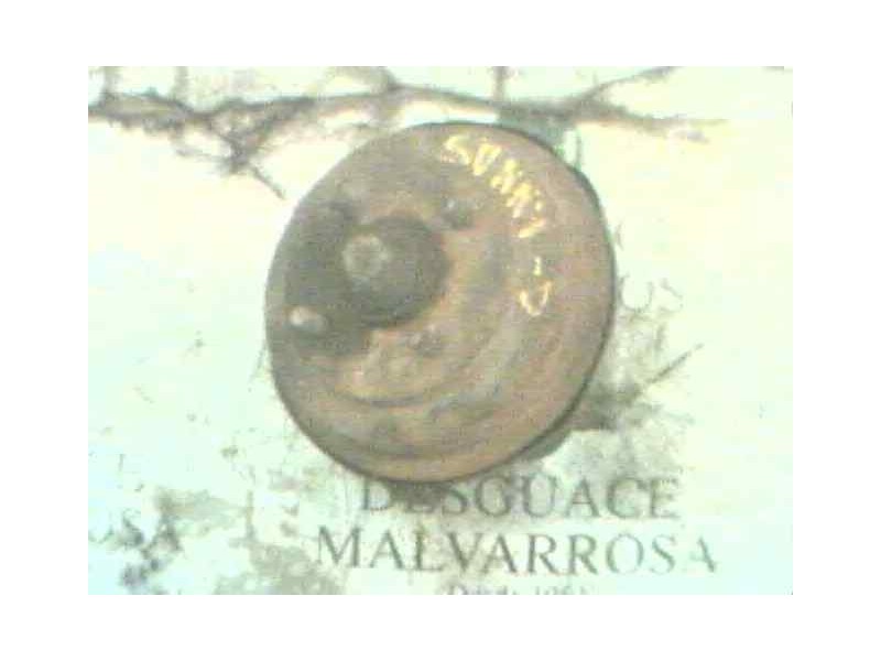 Recambio de mangueta trasera derecha para nissan sunny berlina (n13) referencia OEM IAM   