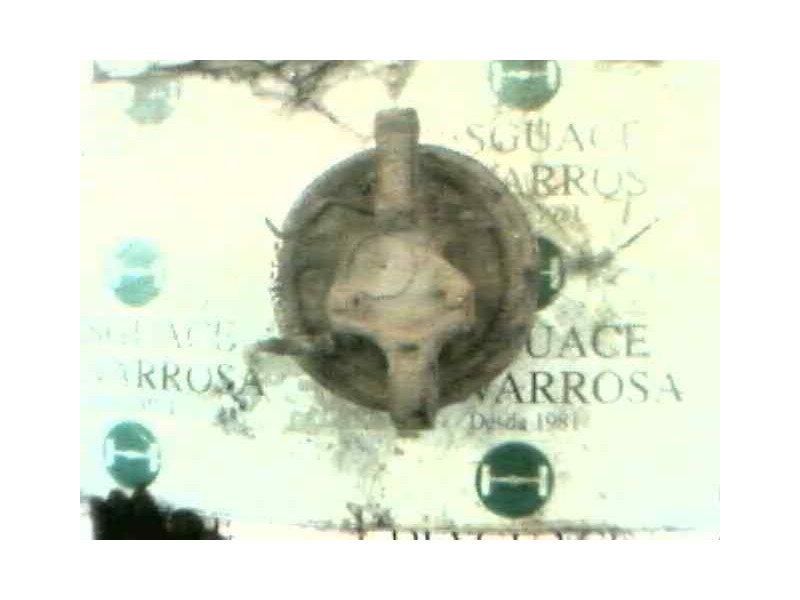 Recambio de mangueta trasera derecha para nissan sunny berlina (n13) referencia OEM IAM   