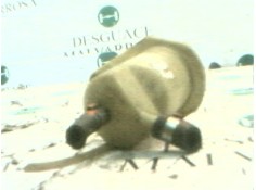 Recambio de deposito servo para fiat palio weekend (178) 1.2 cat referencia OEM IAM  46418380  2