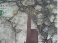 Recambio de disco freno delantero para fiat brava (182) 1.4 12v sx referencia OEM IAM    2