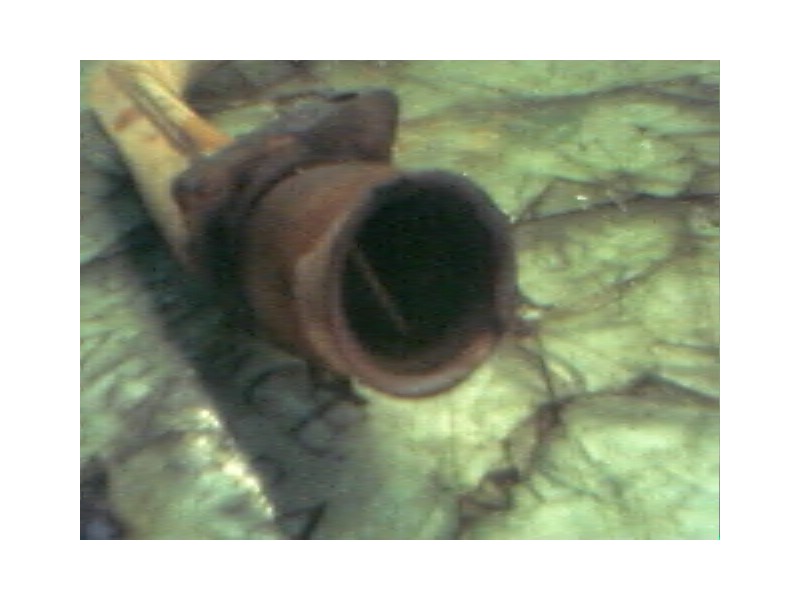 Recambio de salida colector para citroën ax referencia OEM IAM   