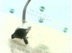 Recambio de enfriador egr para ford transit, caja abierta 1995 2.5 diesel referencia OEM IAM    2